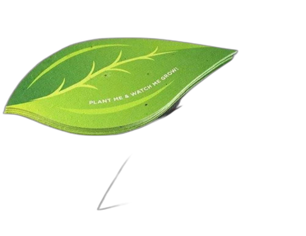 Catalog